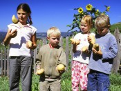 pristingerhof-seis-kinder-mit-kartoffeln