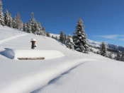 residence-alpenrose-brixen-st-andrae-eisacktal-suedtirol (12)