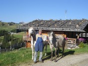 Bauernhofurlaub Kastelruth -  Almhütte und Bauernhof Seiser Alm/ Südtirol