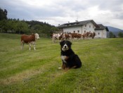  Agriturismo Südtirol - Schgagul Bauernhof Kastelruth