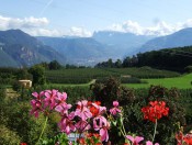  Wanderurlaub in Südtirols Süden - Ferienwohnungen Eppan