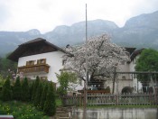 schmalzerhof-eppan-fruehling