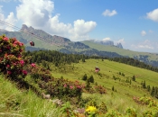 seiser-alm-sommer