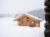 Chalet Silvester Hütte