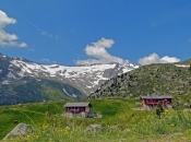 alm-lappach-ahrntal