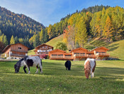 Bauernhofurlaub mitten in einer herausragenden Ferienregion