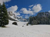 schneeschuhwandern-plafoetschwiesen-tiers