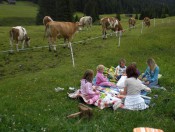 tirleralm-seiser-alm-sommer