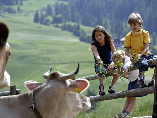 Ferien am Bauernhof