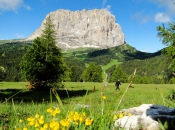 langkofel-groedner-joch