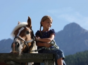 haflinger-reiten-kronplatz