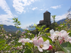 schloss-tirol-meraner-land