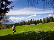 wanderurlaub-mit-hund-suedtirol