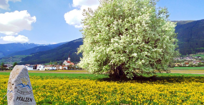 Pfalzen in der Ferienregion Kronplatz