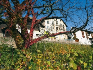 bauernhof-bozen-herbst