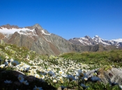 taschljoechl-blick-zu-saldurspitze-und-weisskugel