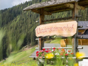 vorderstammerhof-st-magdalena-gsies-suedtirol (19)