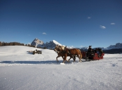 pferdeschlittenfahrt-seiser-alm