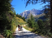 babywanderung-pfitscher-joch-strasse