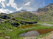 bergsee-pflersch-neben-magdeburgerhuette-dahinter-schneespitze