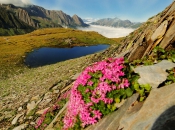 Bergsee in der Nähe vom Pfitscher Joch